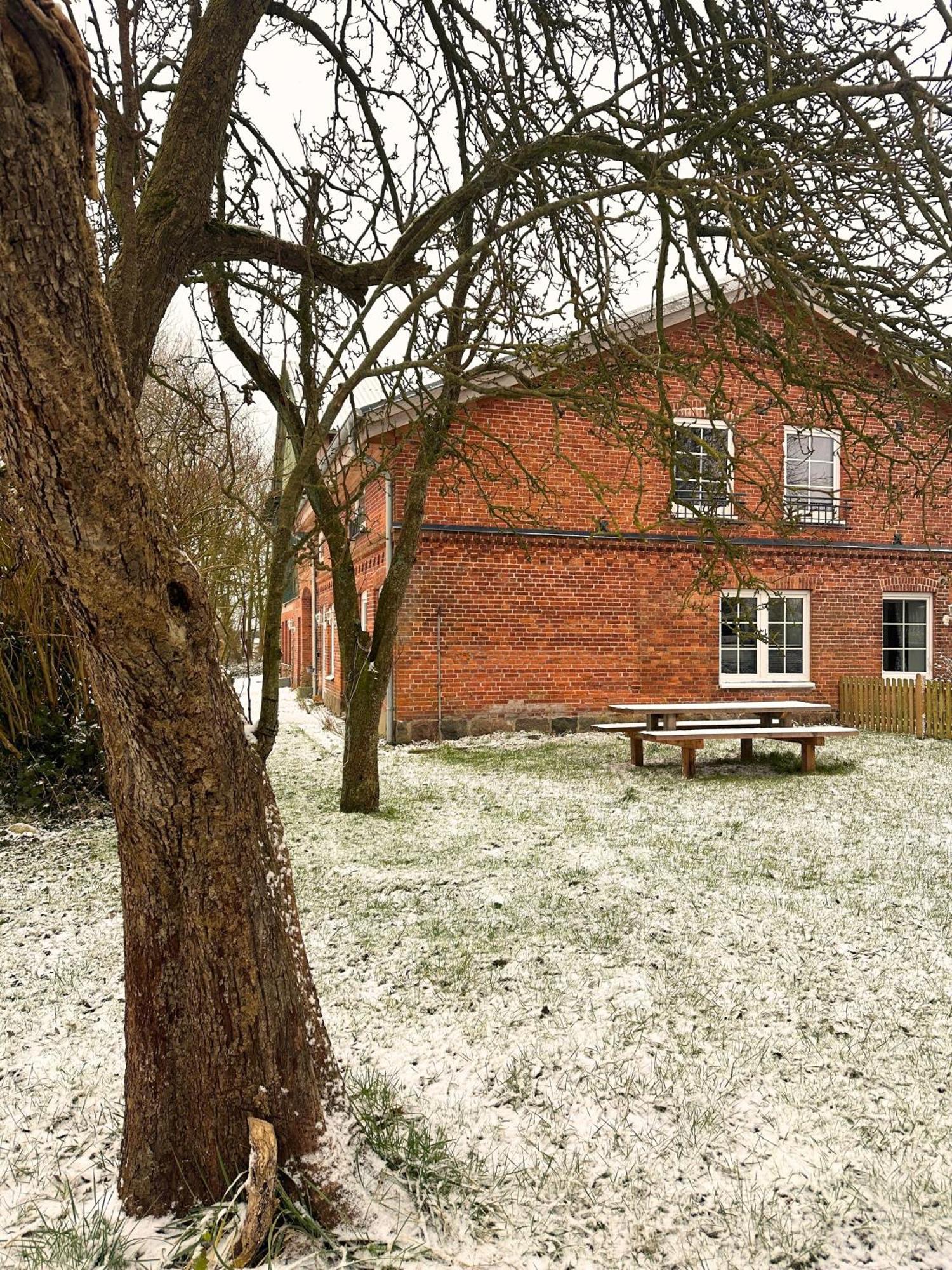Fischerhus